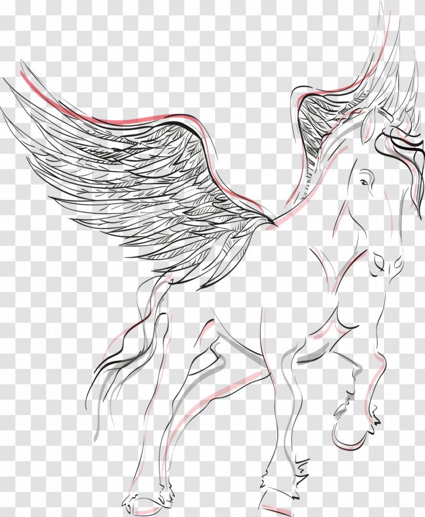 Pegasus Coloring Book Pony - Frame Transparent PNG