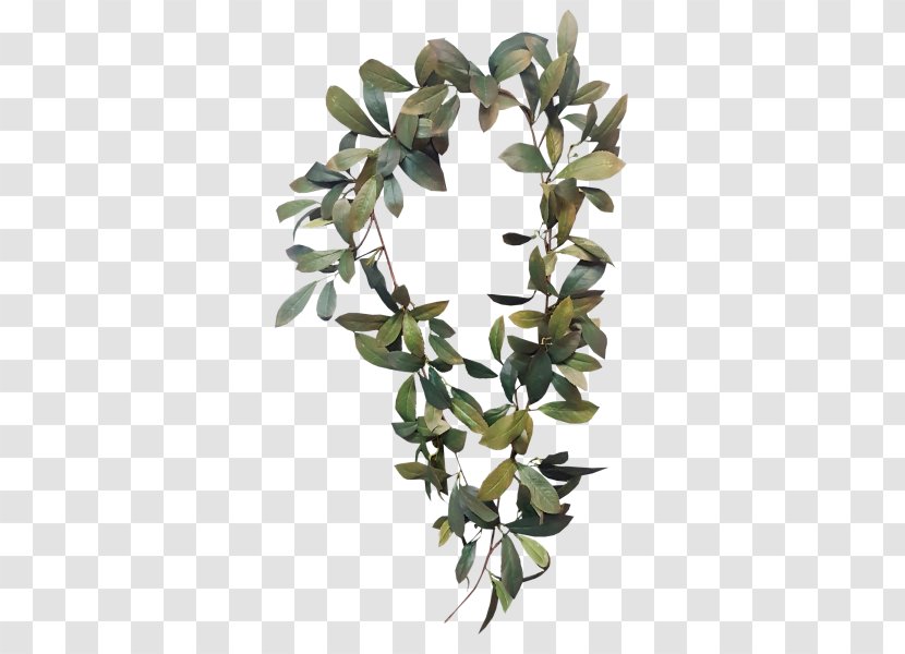 Bay Laurel Garland Wreath Leaf Branch - Greenery Transparent PNG