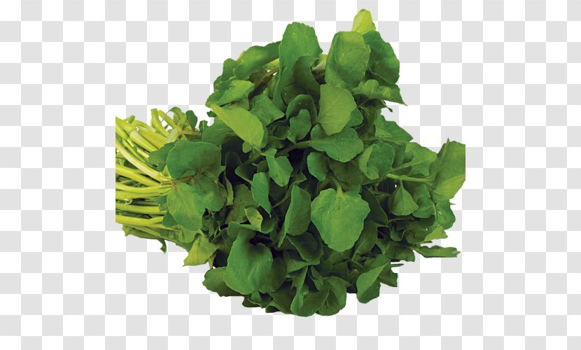 Food Watercress Herb Vegetarian Cuisine Vegetable - Plant Transparent PNG