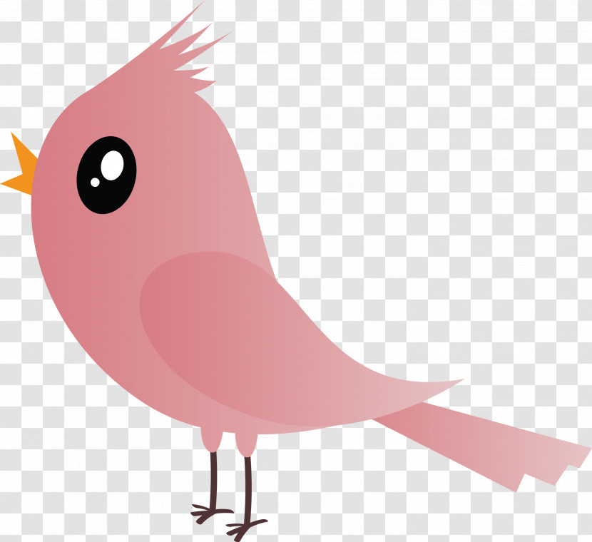 Bird Pink Beak Cartoon Tail Transparent PNG