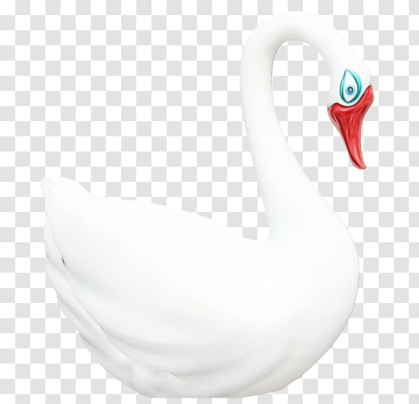 Water Bird Birds Beak Biology Science Transparent PNG