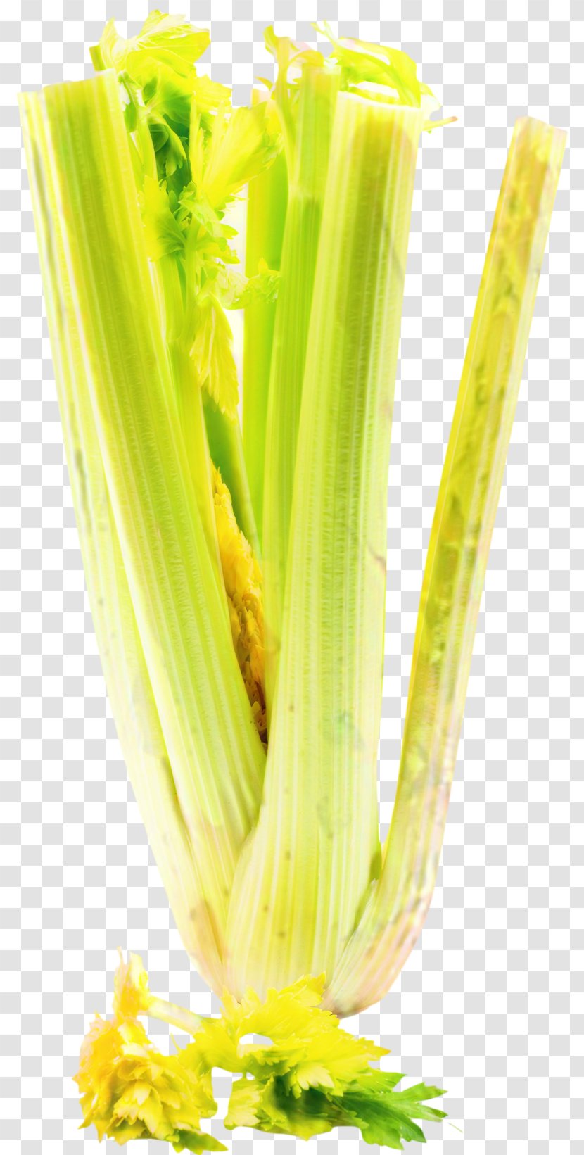 Corn Cartoon - Plant - Leaf Vegetable Transparent PNG