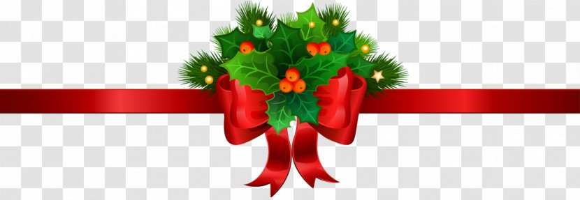 Stock Photography Christmas Ornament Royalty-free - Flowering Plant - Festive Atmosphere Transparent PNG