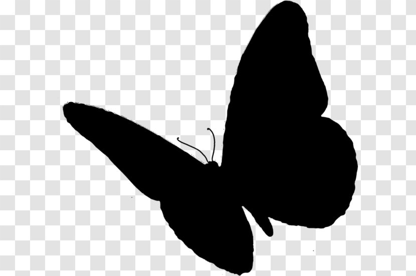 Butterfly Insect Clip Art - Nature - Blackandwhite Transparent PNG