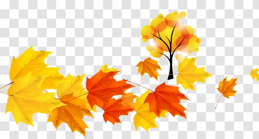 Autumn Deciduous - Orange - Leaves Transparent PNG