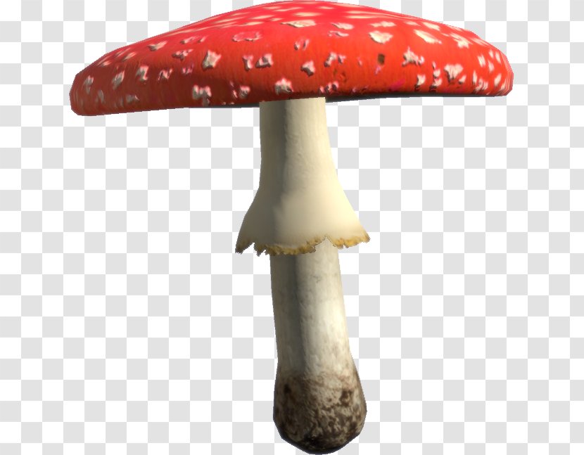 Mushroom Amanita Muscaria Food Fungus Transparent PNG