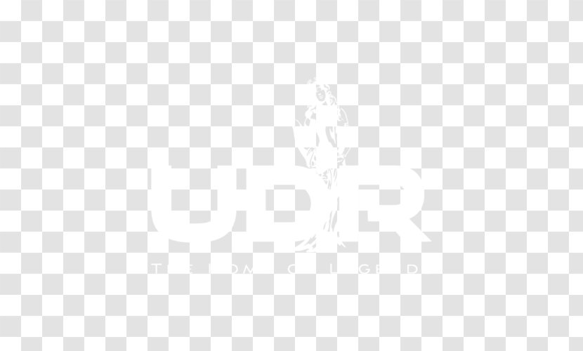 United States Color White Business Transparent PNG