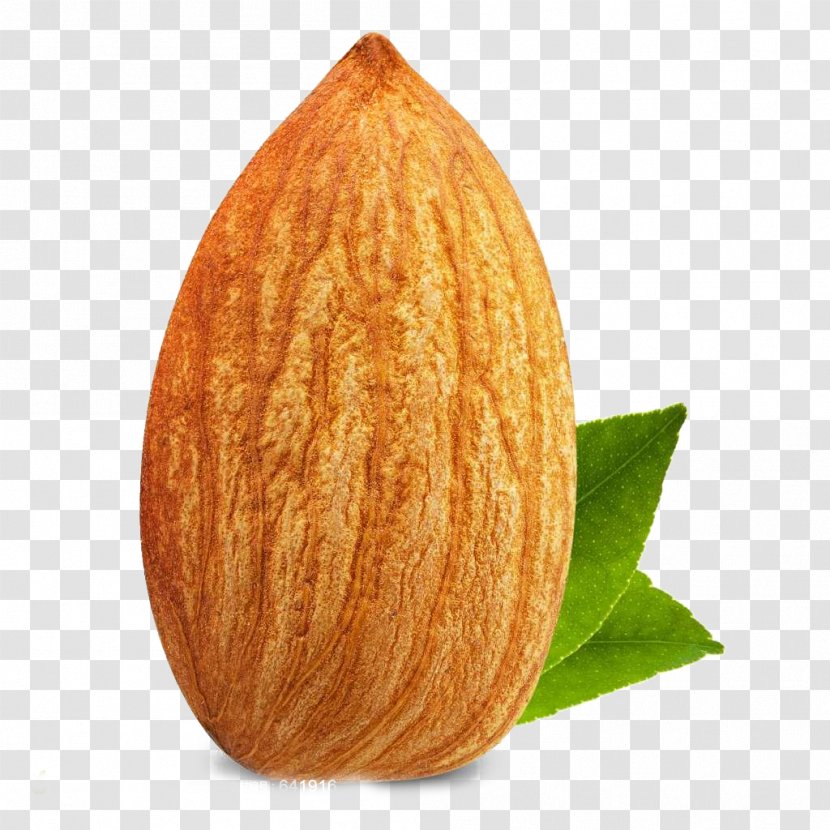 Almond Nut Dried Fruit - Android - An Exquisite Transparent PNG