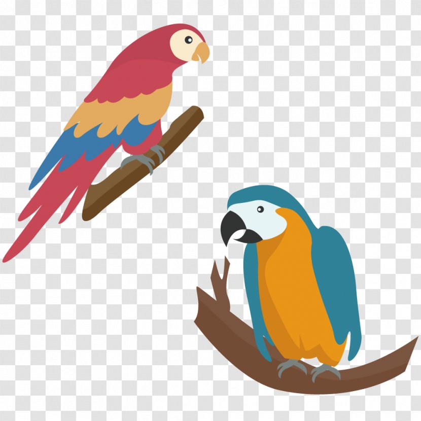 Parrot Touch Fruit : Preschool Game Simple For Kids Diamant Koninkrijk - Common Pet Parakeet - Two Parrots On A Tree Branch Transparent PNG