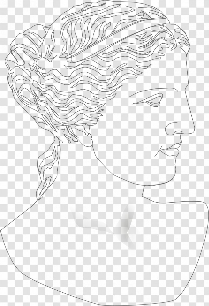 Line Art Drawing Clip - Watercolor - Classical Clipart Transparent PNG