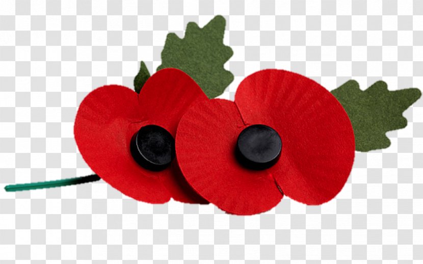 Remembrance Poppy The Royal British Legion United Kingdom Armistice Day - Organization Transparent PNG