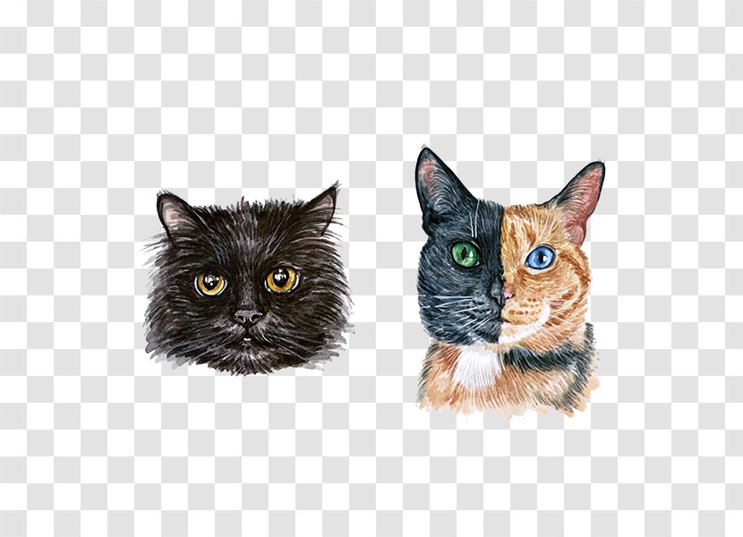 Hand-painted Cute Cat Watercolor Head - Pet - Black Transparent PNG