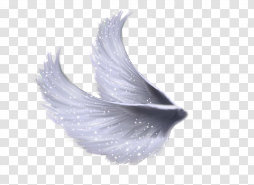 Clip Art - Sticker - Wings Transparent PNG