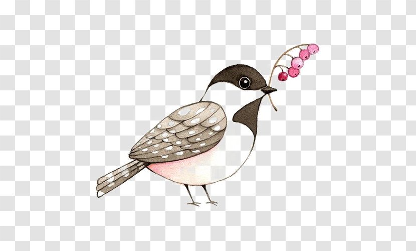 Sparrow - Lovebird - Line Art Transparent PNG