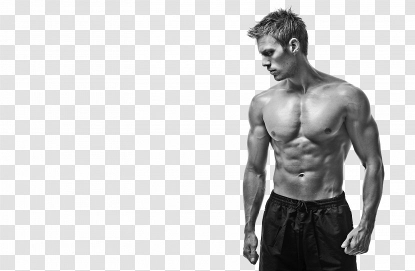 Physical Fitness Model Muscle Male Centre - Silhouette - Show Transparent PNG