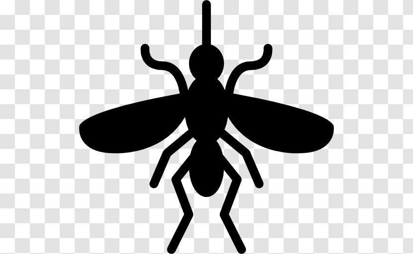 Fly Mosquito Insect Vector Pest Control Transparent PNG