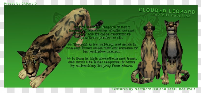 Giraffe Felidae Clouded Leopard Art - Carnivoran Transparent PNG
