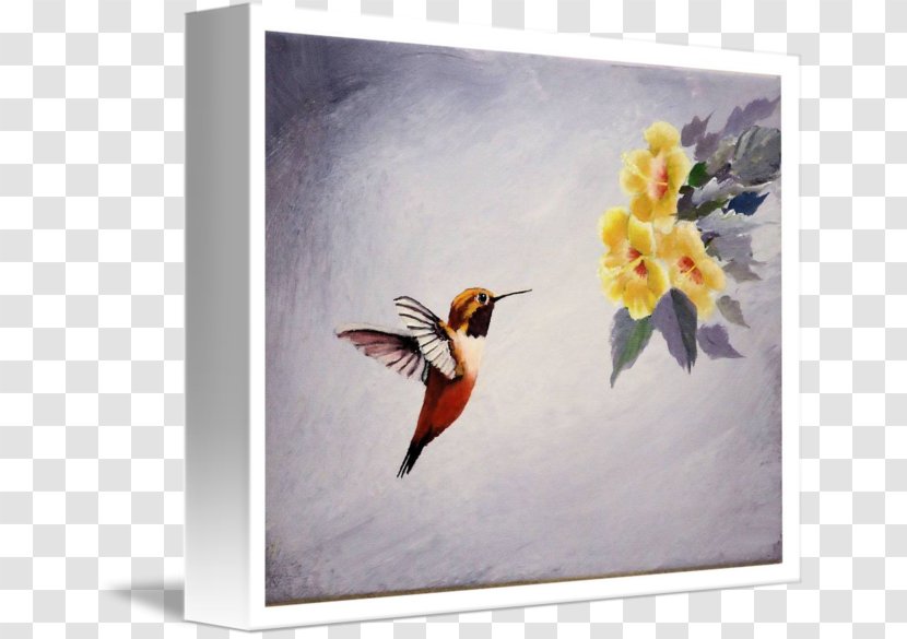 Hummingbird Watercolor Painting Art - Fauna Transparent PNG