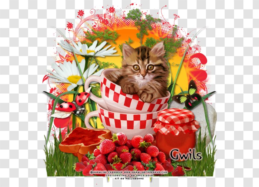 Kitten Cut Flowers Tile Floral Design - Fruit Transparent PNG