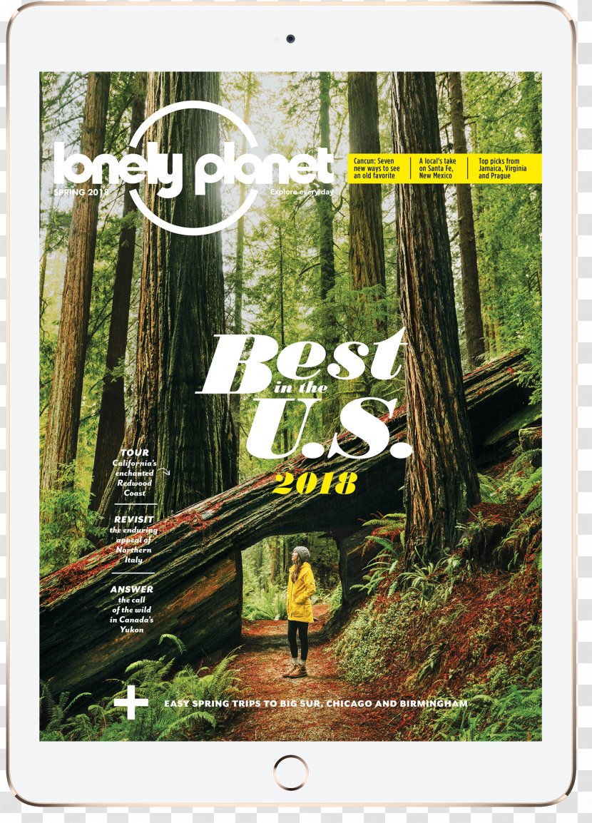 Ecosystem Rainforest Calenticos Magazine Flora - Lonely Planet Logo Transparent PNG