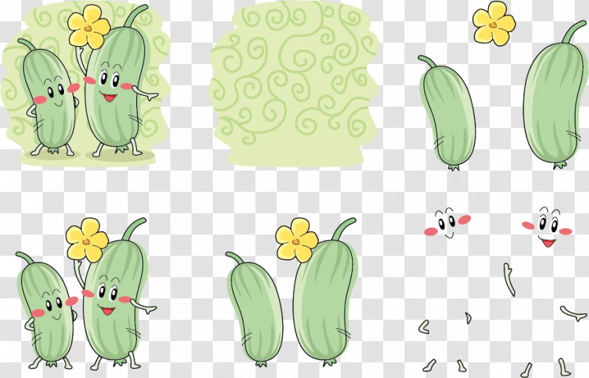 Broccoli Sponge Gourd Illustration - Napa Cabbage - Melon Expression Vector With Flowers Transparent PNG