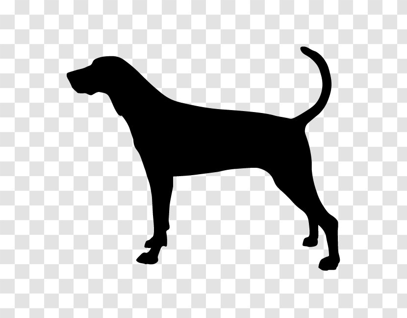 Treeing Walker Coonhound Redbone Bluetick Black And Tan - Rare Breed Dog - Bichon Silhouette Transparent PNG