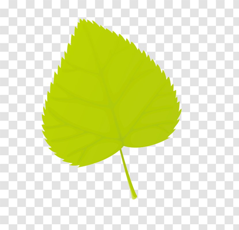 Leaf Euclidean Vector - Green - Creative Leaves Transparent PNG