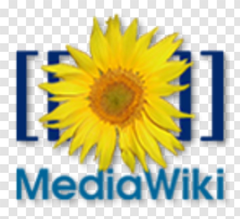 MediaWiki Wiki Software Computer Wikimedia Foundation - Cut Flowers - World Wide Web Transparent PNG