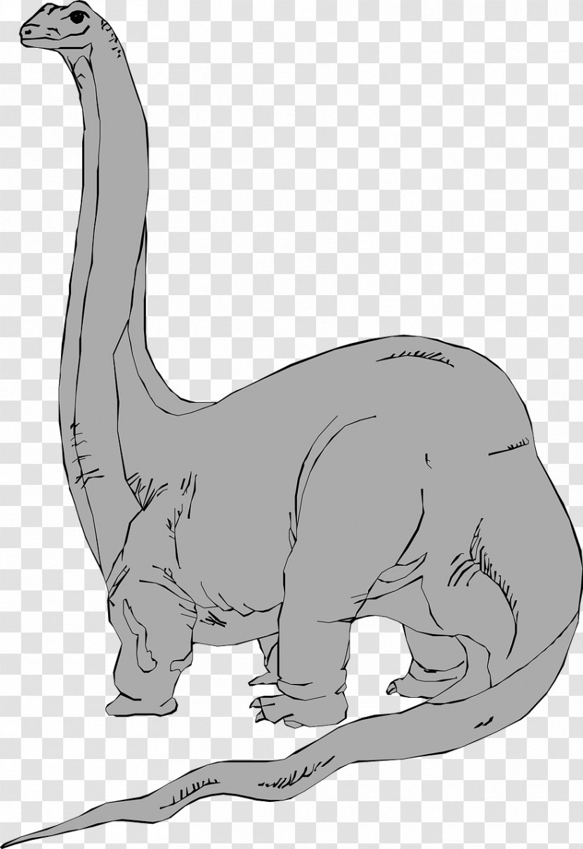 Brachiosaurus Brontosaurus Apatosaurus Dinosaur Clip Art - Hare Transparent PNG