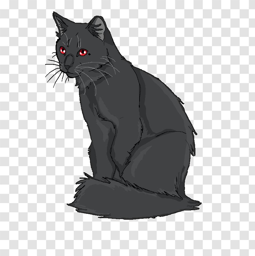 Korat Black Cat Whiskers Domestic Short-haired Dog - Frame Transparent PNG