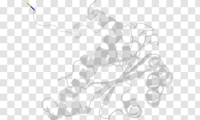 White Line Art H&M Clip - Tree - Streptococcus Mutans Transparent PNG