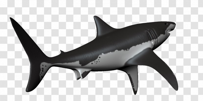 Hammerhead Shark Requiem Great White - Fish - Sharks Transparent PNG