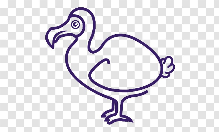 Drawing Dodo Bird Duck Beak - Extinction Transparent PNG
