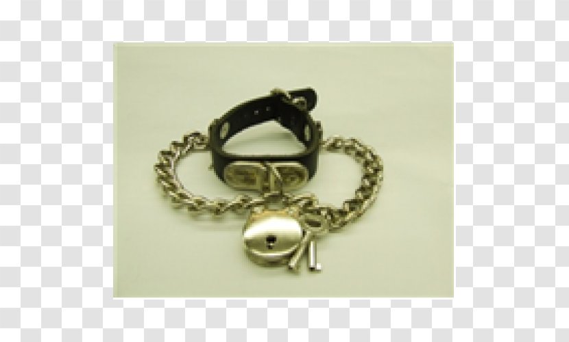 Bracelet Jewellery Silver Chain Transparent PNG
