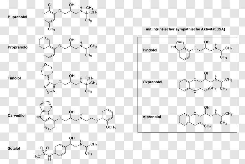 Beta Blocker Receptores Adrenérgicos Hypertension Propranolol Beta2-adrenergic Agonist - Diagram - Plot Transparent PNG