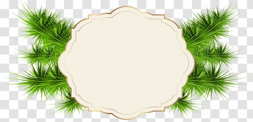 Santa Claus Christmas Card Greeting & Note Cards - Tree - Green Label Transparent PNG