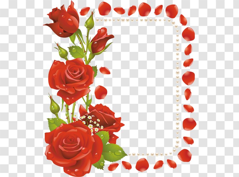 Flower Picture Frames Clip Art - Heart - Red Rose Decorative Transparent PNG