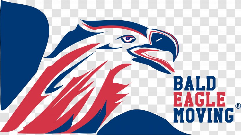 Bald Eagle Moving LLC Beak Mover Bird - National Symbol Transparent PNG