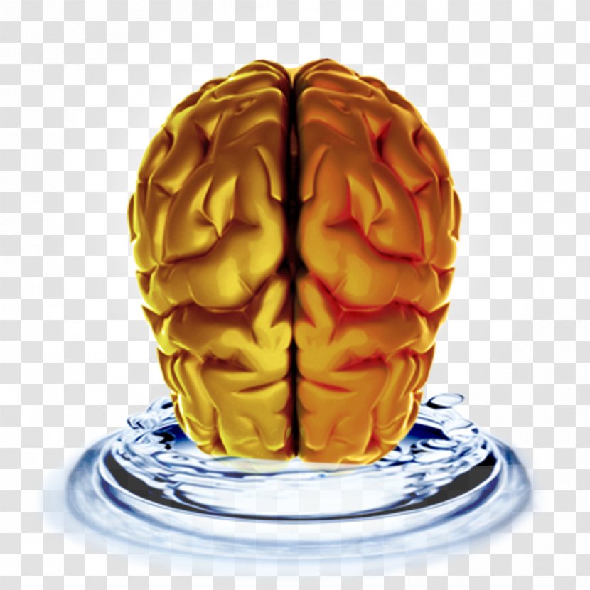 Brain Dietary Supplement Memory Neurology Alertness - Silhouette Transparent PNG