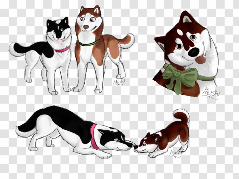 Dog Breed Siberian Husky Leash - Cartoon Transparent PNG