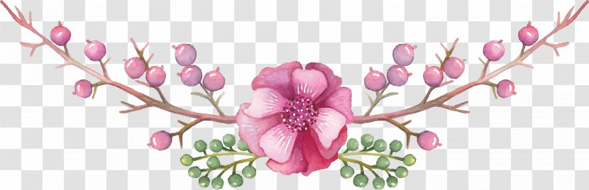 Blog - Cut Flowers - Vector Hand-painted Decorative Transparent PNG