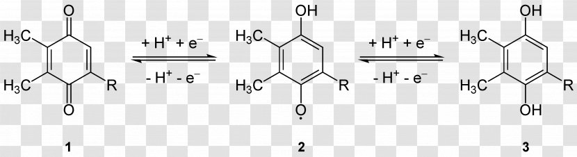 Tocopheryl Acetate Alpha-Tocopherol Vitamin E - Reductions Transparent PNG