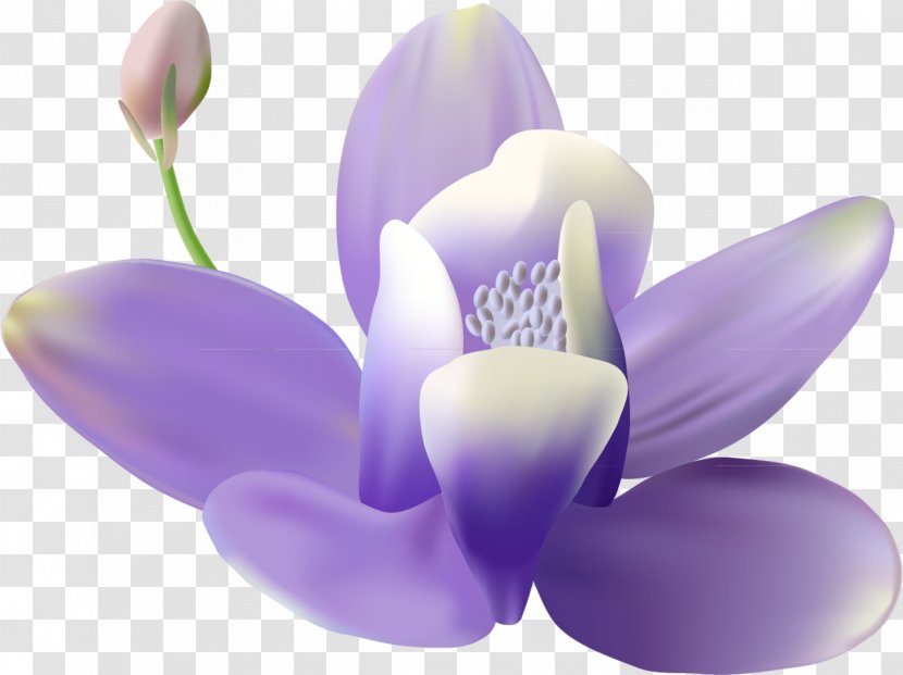 Flower Mural Wall Painting - Petal - Lilac Transparent PNG