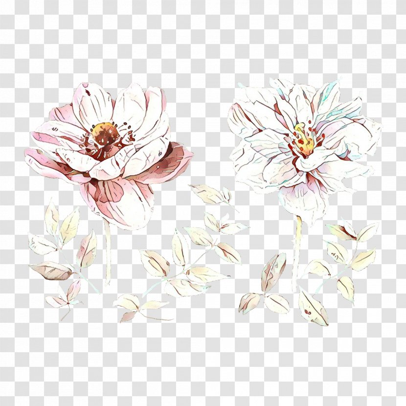 Flowers Background - Cut - Magnolia Family Blossom Transparent PNG