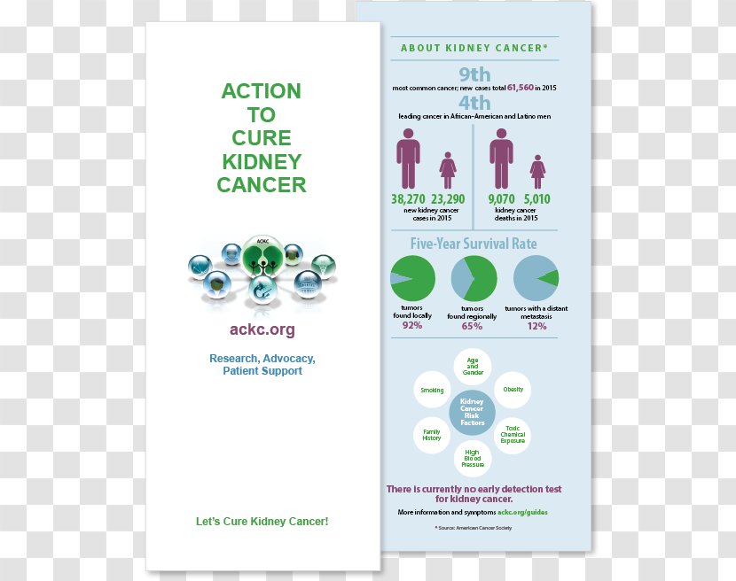 The One-minute Cure: Secret To Healing Virtually All Diseases Cancer Obesity - Cure - Tri-fold Brochure Transparent PNG