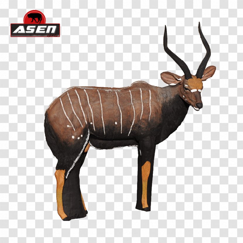 Antelope Horn Archery Nyala Animal - Shooting Targets - Funny Shirts Transparent PNG
