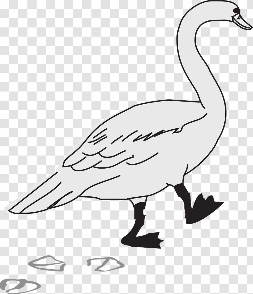 Goose Clip Art - Wing - Footprint Transparent PNG