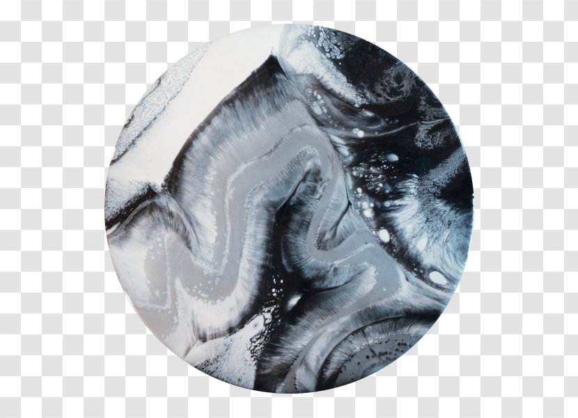 Oraco Resin Arts Black And White - Organism - Fur Transparent PNG