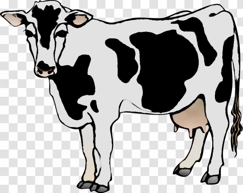 Clip Art Dairy Cattle Angus Holstein Friesian - Beef Transparent PNG