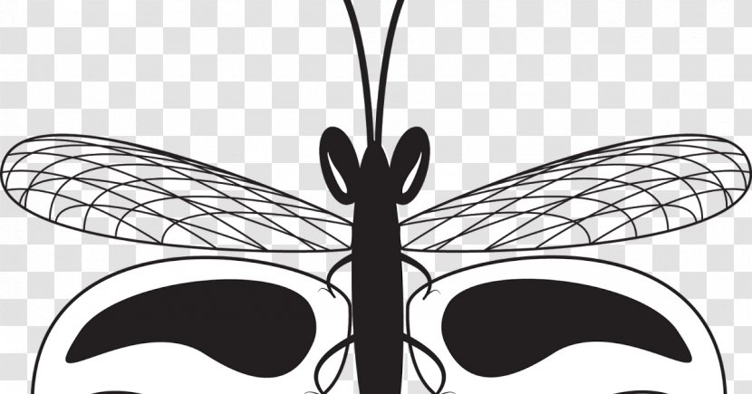 Butterfly Insect Drawing Arthropod Clip Art Transparent PNG